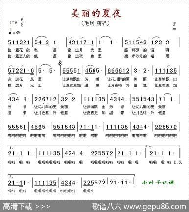 美丽的夏夜