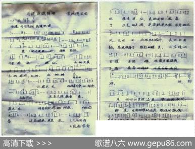 马莲花遐想曲