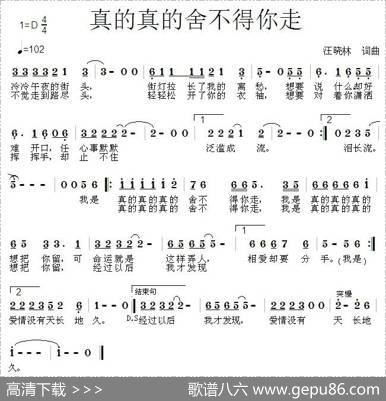 真的真的舍不得你走 - 王晓林|王晓林