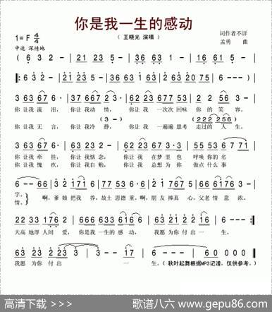 你是我一生的感动