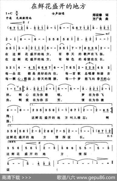 在鲜花盛开的地方 - 郑迎春|方广良