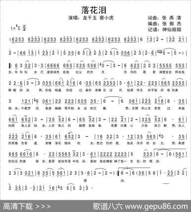 落花泪（台视《夜市人生》片头曲、国语版） - 张燕清|张振杰