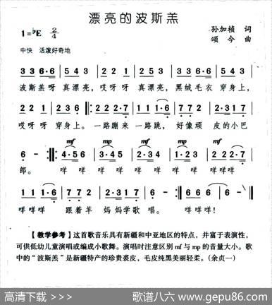 漂亮的波斯羔 - 孙加祯|颂今