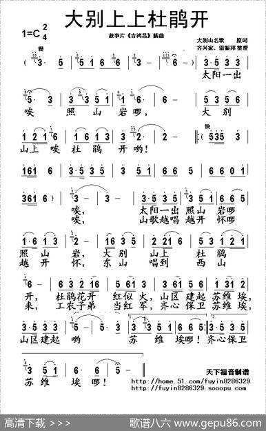 大别上上杜鹃开