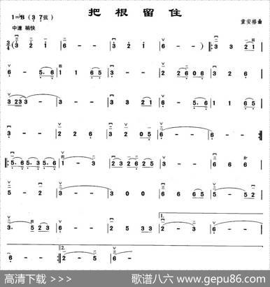 把根留住