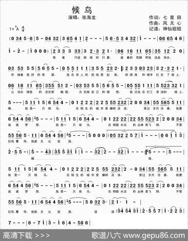 候鸟（张海龙演唱版） - 七星田|风无心
