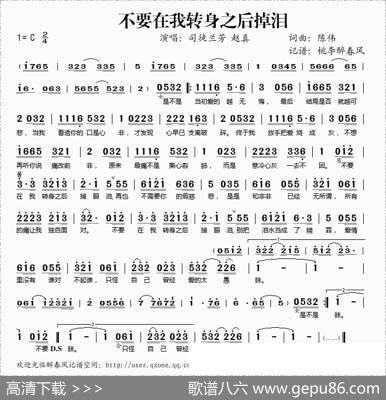 不要在我转身之后掉泪 - 陈伟|陈伟