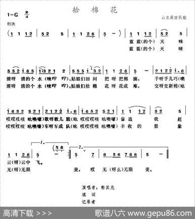 拾棉花