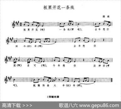 板栗开花一条线（五线谱）