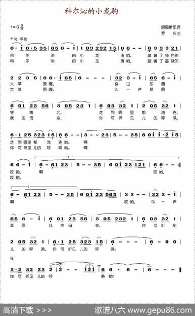 科尔沁的小龙驹