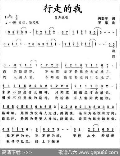 行走的我 - 芮彭年|王华