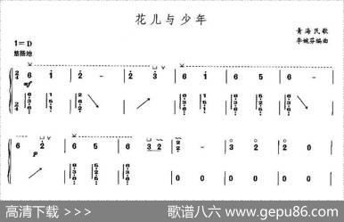花儿与少年