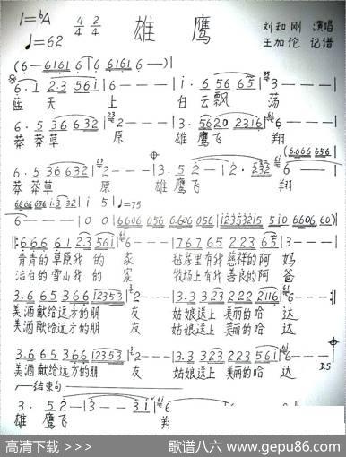 雄鹰