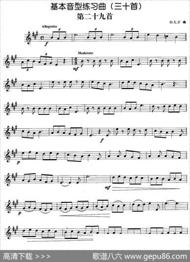 基本音型练习曲第二十九首|孙大方