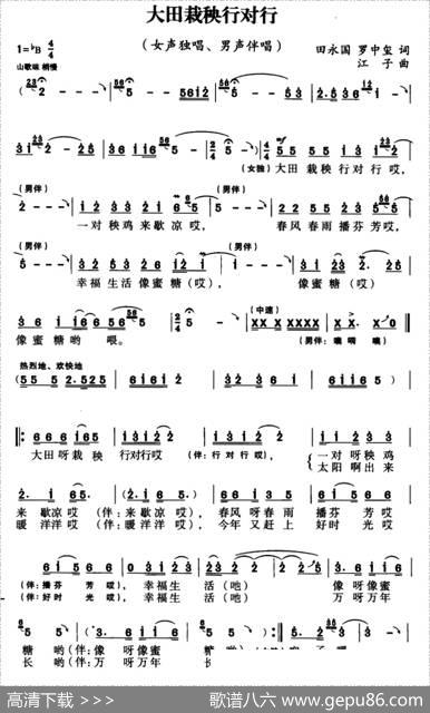 大田栽秧行对行（田永国罗中玺词江子曲） - 田永国罗中玺|江子
