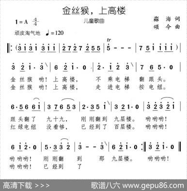 金丝猴，上高楼 - 淼海|颂今
