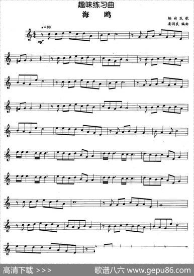 趣味练习曲：海鸥|娄润良