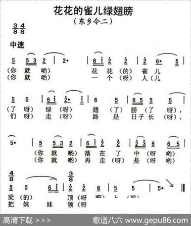 花花的雀儿绿翅膀