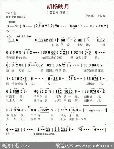 胡杨映月 - 孙洪斌|孙洪斌