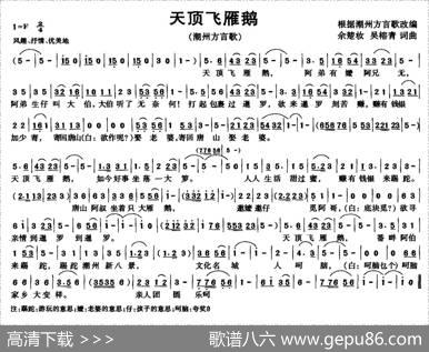 天顶飞雁鹅