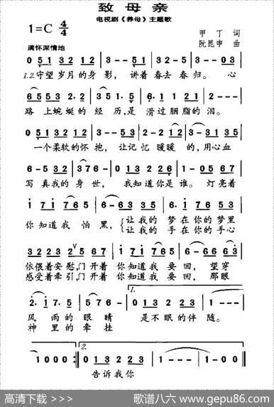 致母亲（电视剧《养母》主题歌） - 甲丁|阮昆申
