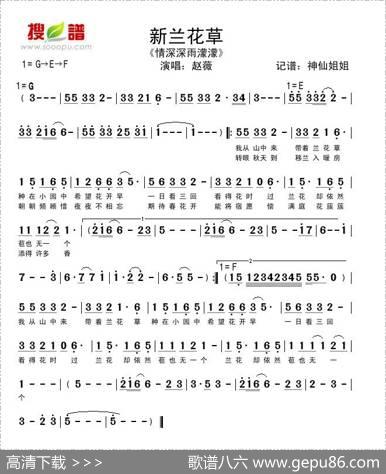 新兰花草（《情深深雨濛濛》专辑歌曲）