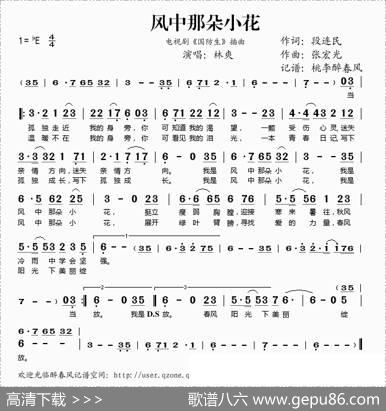 风中那朵小花（电视剧《国防生》插曲） - 段连民|张宏光