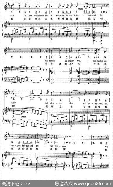 Andenken（思念[中外文对照、正谱]）