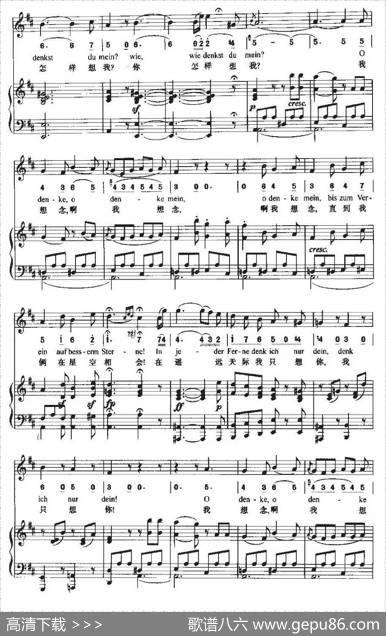 Andenken（思念[中外文对照、正谱]）