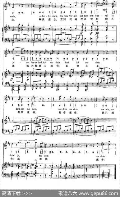 Andenken（思念[中外文对照、正谱]）