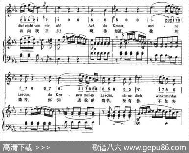 Ha，Treuloser（嘿，负心人）（中外文对照、正谱+简谱）|贝多芬曲、周文楠译配