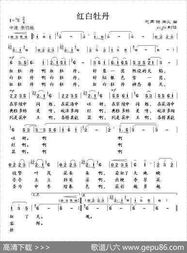 红白牡丹 - 志同|向义