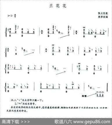 兰花花
