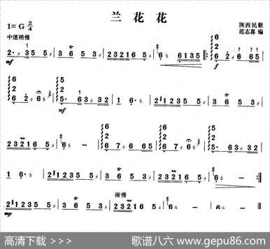 兰花花