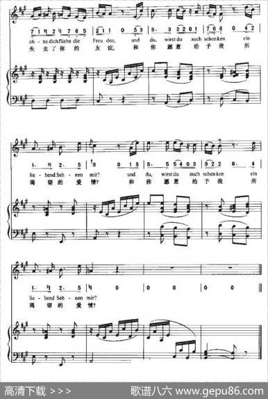 DerAbschied（离别[中外文对照、正谱]）