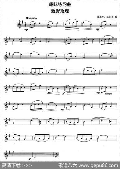 趣味练习曲：致野玫瑰