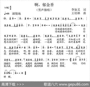 啊，郁金香 - 李如义|王培林