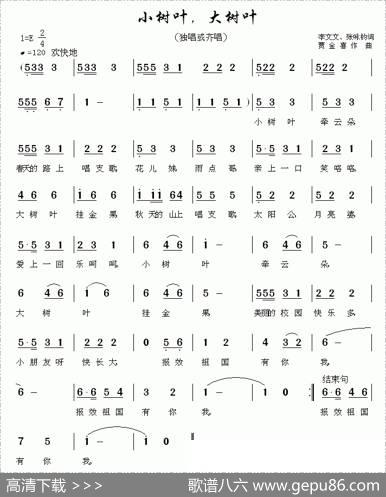 小树叶，大树叶