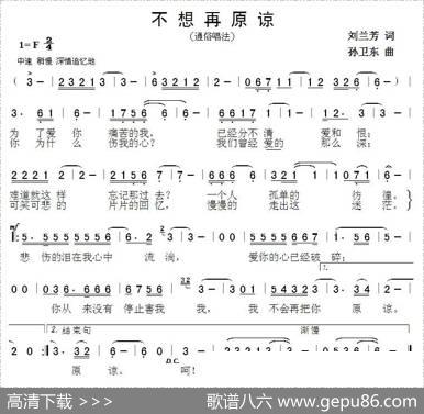 不想再原谅 - 刘兰芳|孙卫东