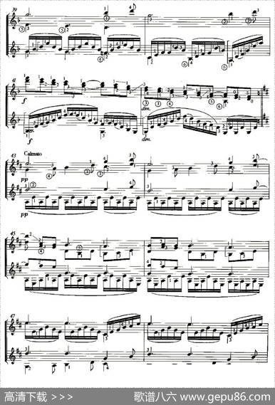 CLAIRDELUNE（双吉他）