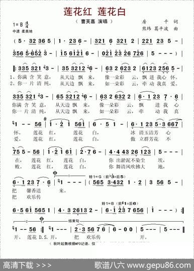 莲花红莲花白 - 房千|熊纬、葛平波