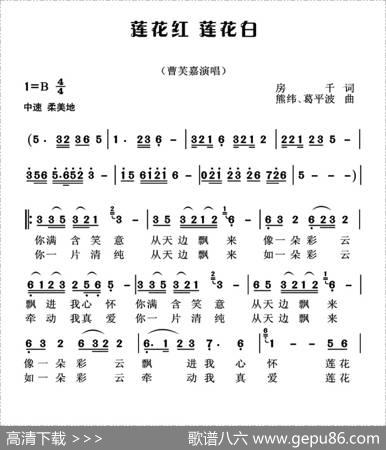 莲花红莲花白 - 房千|熊纬、葛平波