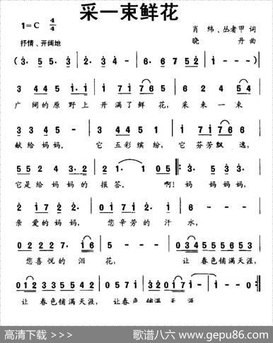 采一束鲜花 - 肖纬丛者甲|晓丹