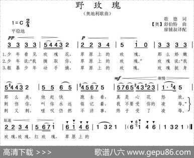 [奥]野玫瑰（歌德词舒伯特曲） - 歌德|舒伯特