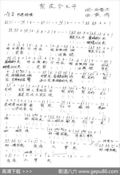 梨花今又开