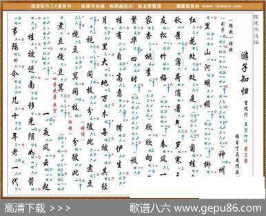 [南音工X谱]游子知归