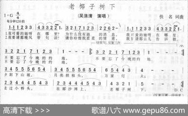 老椰子树下