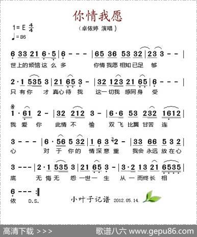 你情我愿