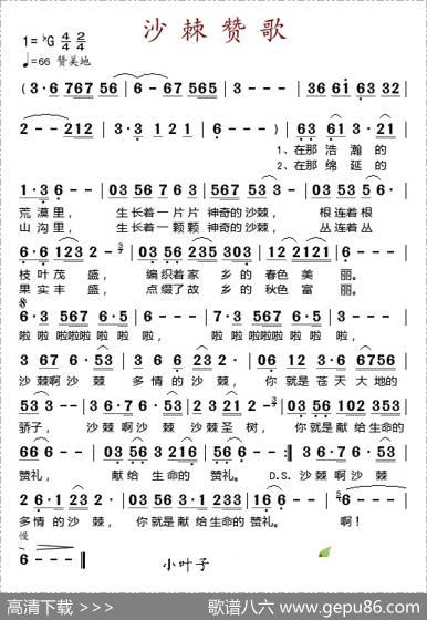 沙棘赞歌