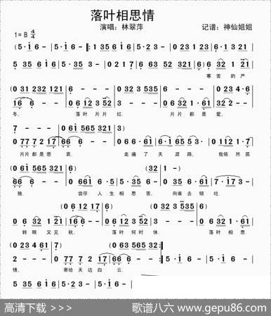 落叶相思情